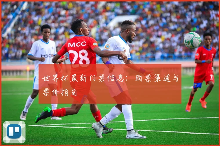 世界杯最新门票信息：购票渠道与票价指南